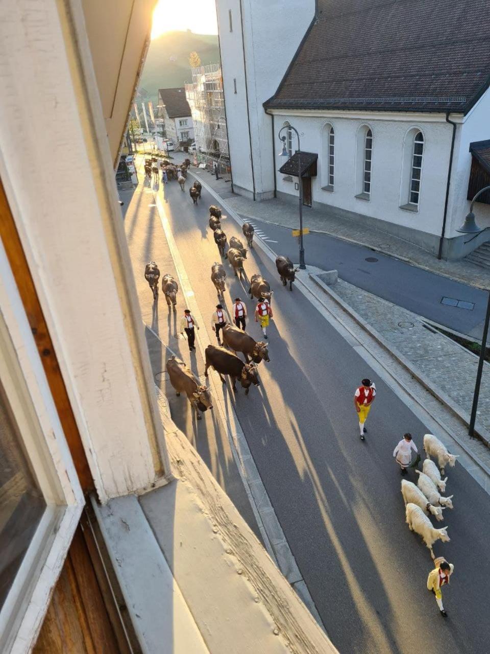 Ferienwohnung Edelweiss Urnäsch Exteriör bild